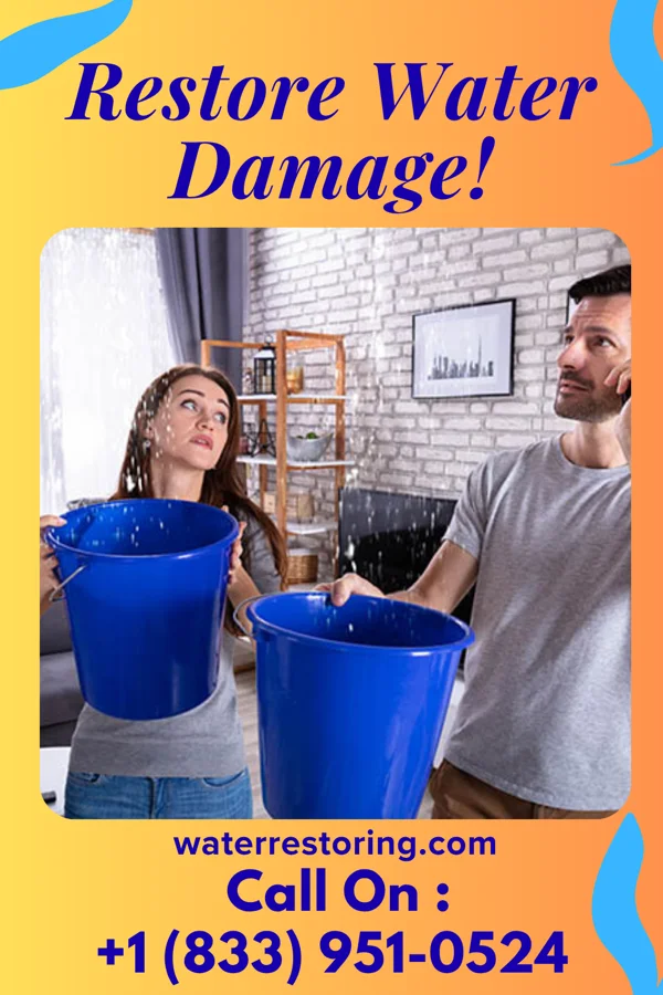 water restoration Beacon Water Damage Authority Crescent Beach